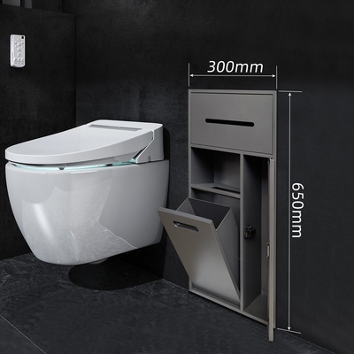 Nicho de baño del hotel de Australia Estilo de diseño moderno para el depósito de cepillo de inodoro y ducha