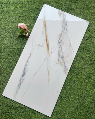600x1200mm azulejos de suelo de porcelana de gran tamaño y competitivo para las necesidades de suelo